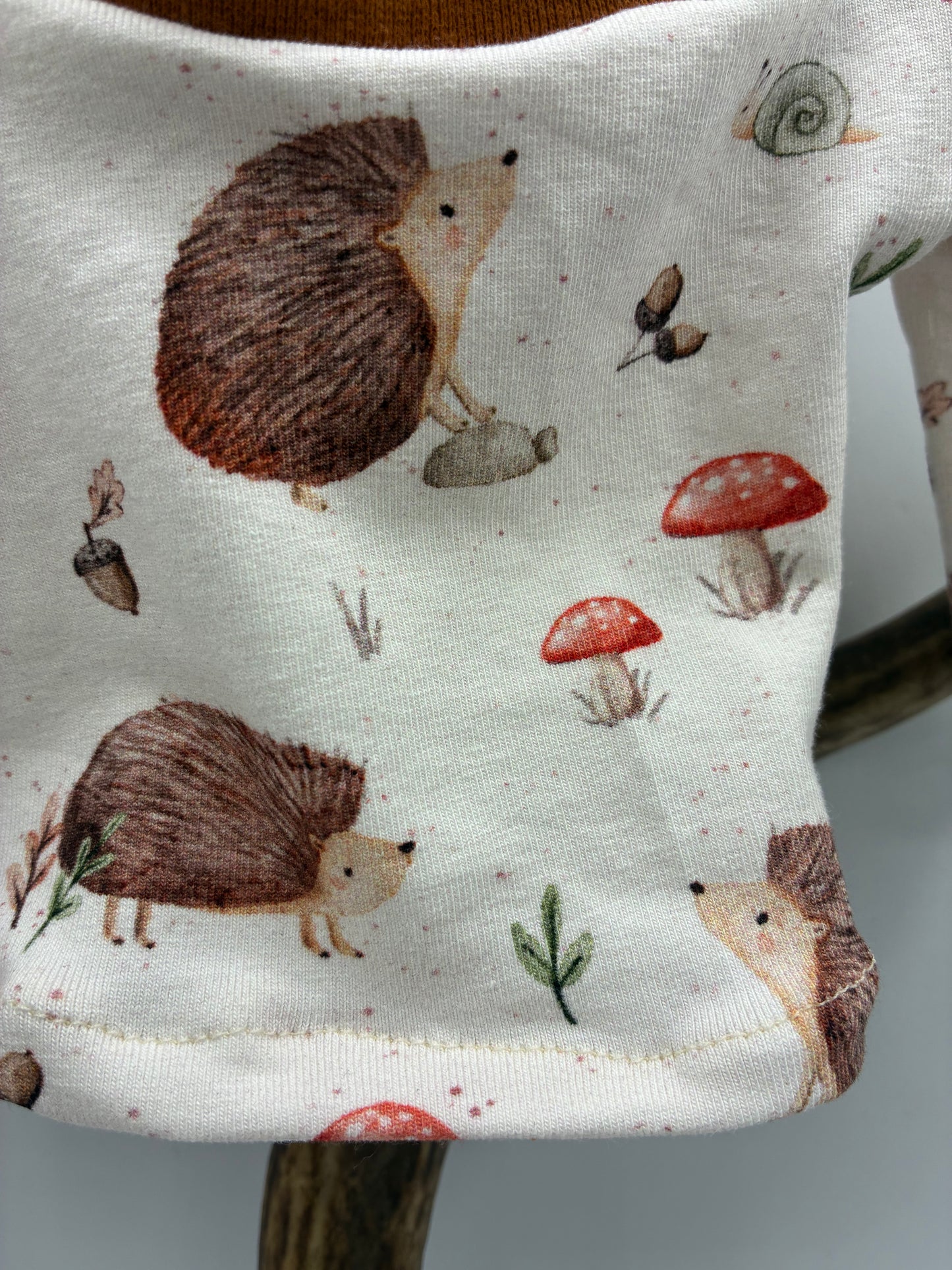 Langarm-Shirt Igel