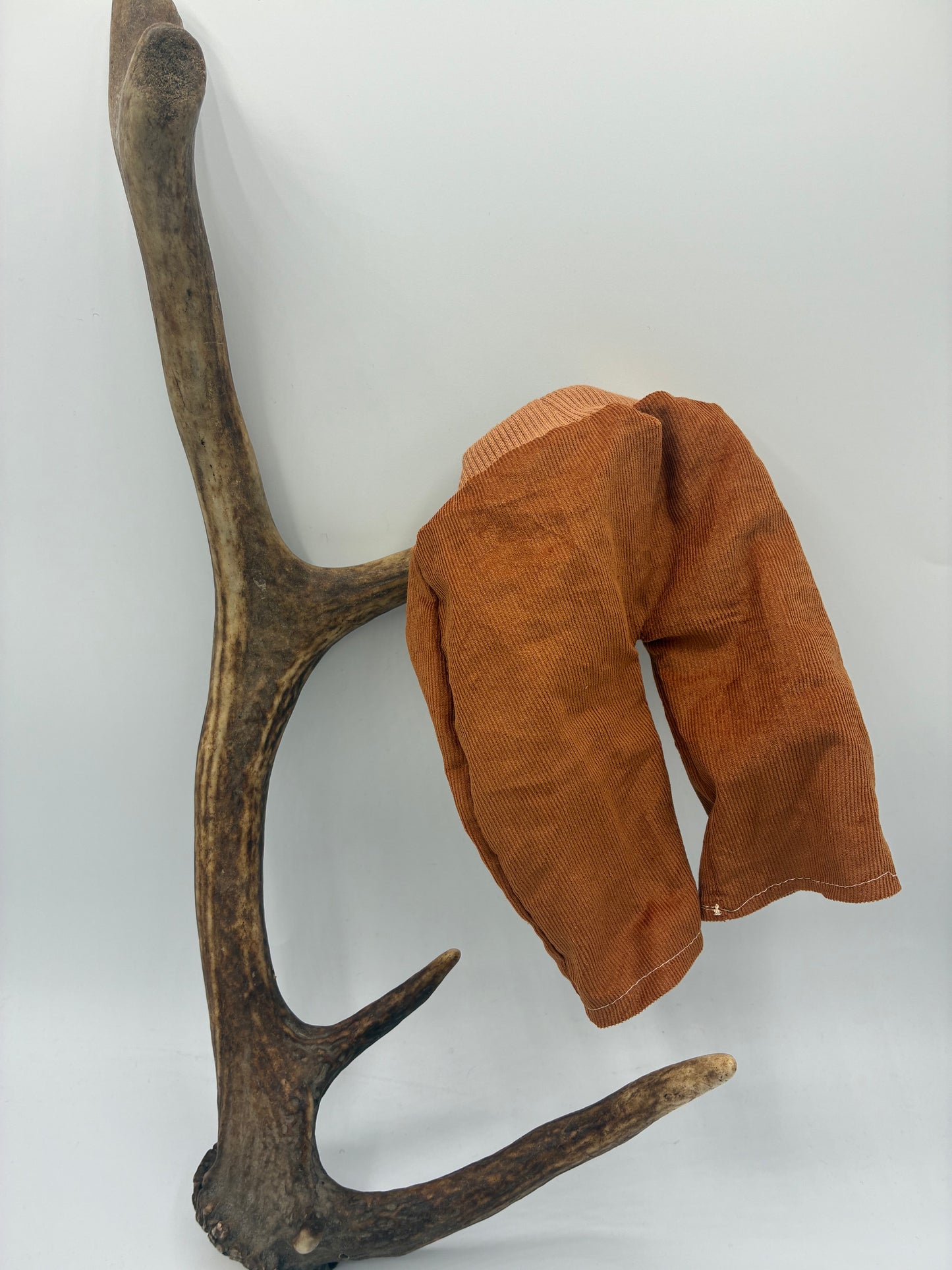 Cordhose camel