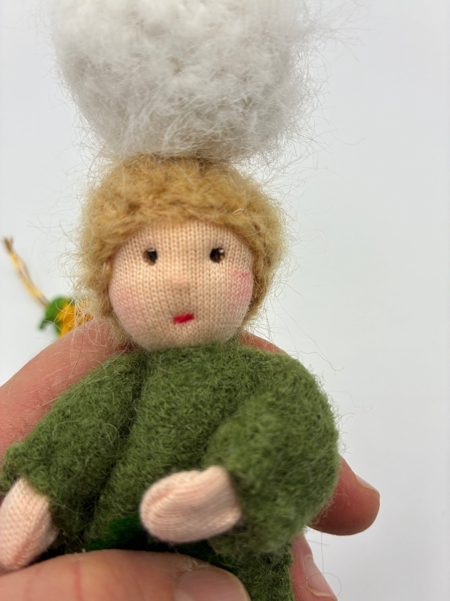 Löwenzahn-Kind Tarax