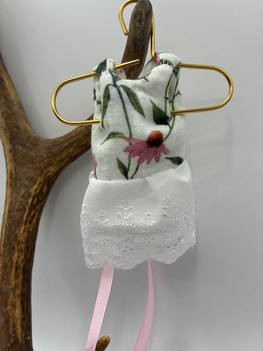 Feen–Kleid Echinacea