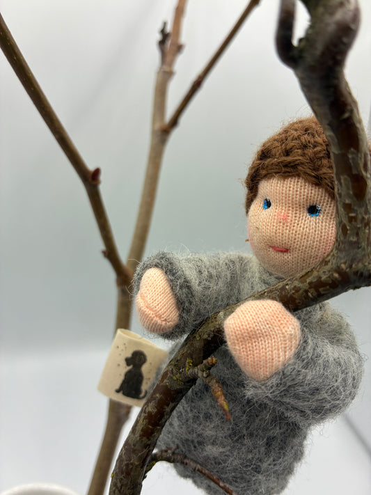 Palmkätzchen–Kind Tristis