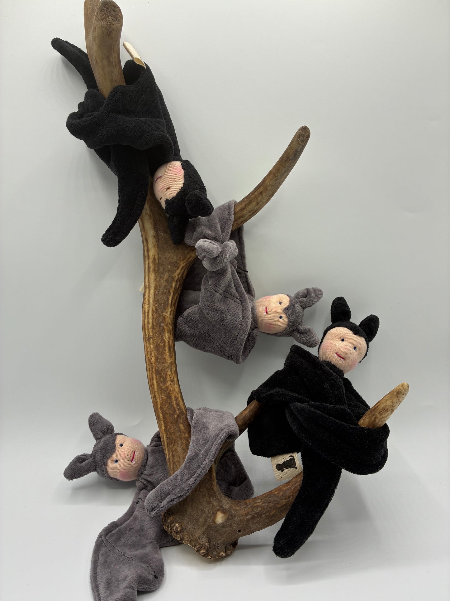 Fledermaus Fledi